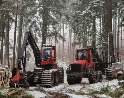 Zrębkowanie drewna | ALFA Stochmal