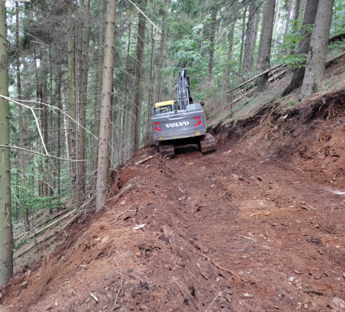 Sadzenie drzew | ALFA Stochmal