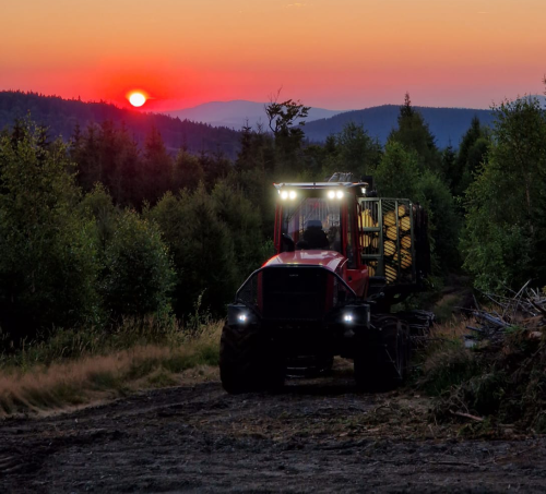 Zrywka drewna | ALFA Stochmal